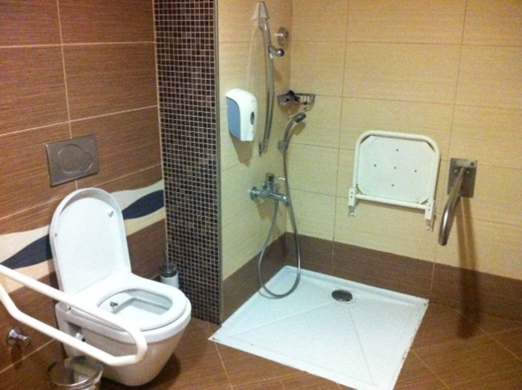 Standard Room Handicapped